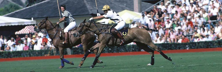 Piaget polo活動