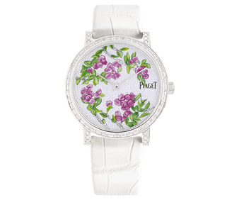 reloj en oro blanco y diamante